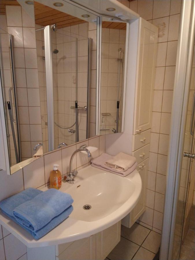 Haus Waldblick Hotel Hohegeiß Buitenkant foto